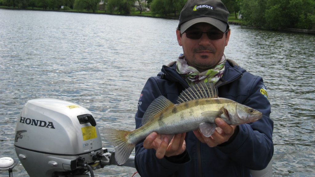 Salau de... Manastire