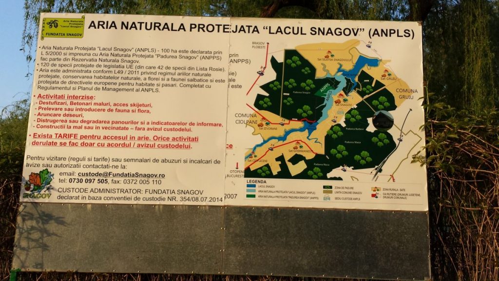 Snagov, protejat dar braconat