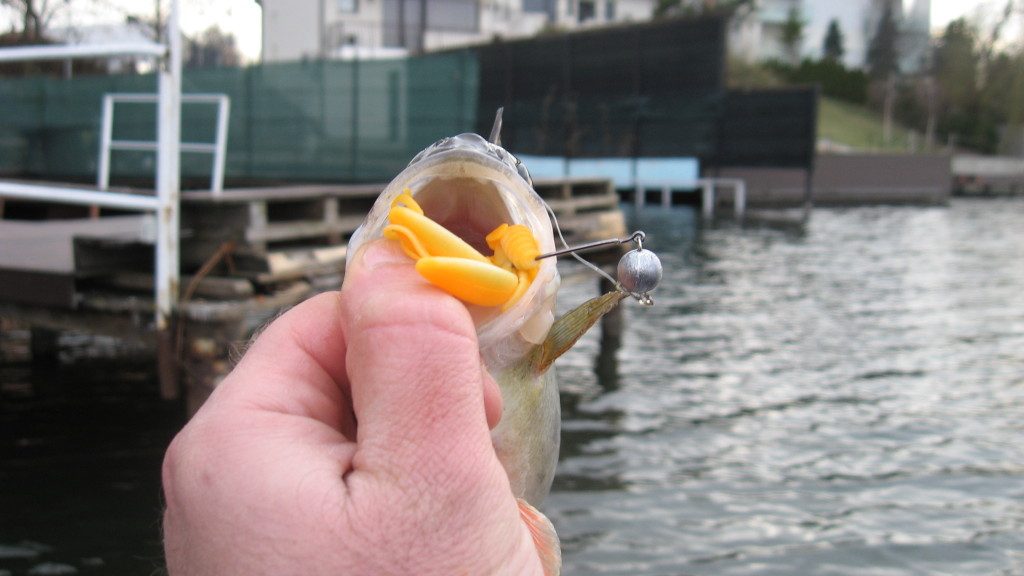 pitching-cu-raci-sub-pontoane-dupa-bibani