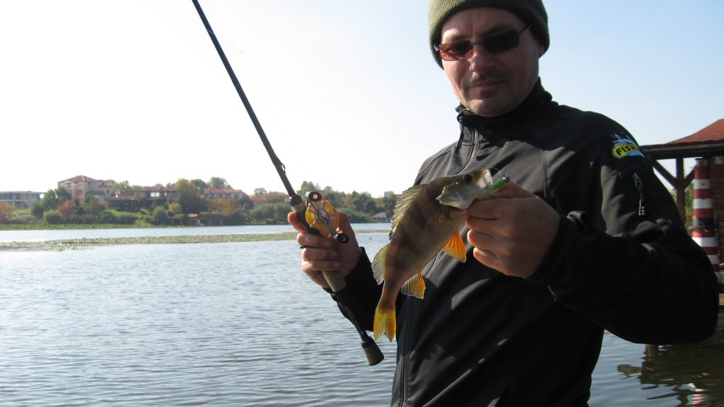 skipping-update-2-0_