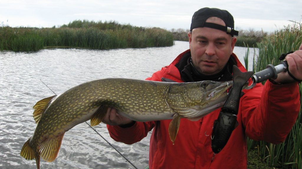 delta-force-swimbait-ops_21