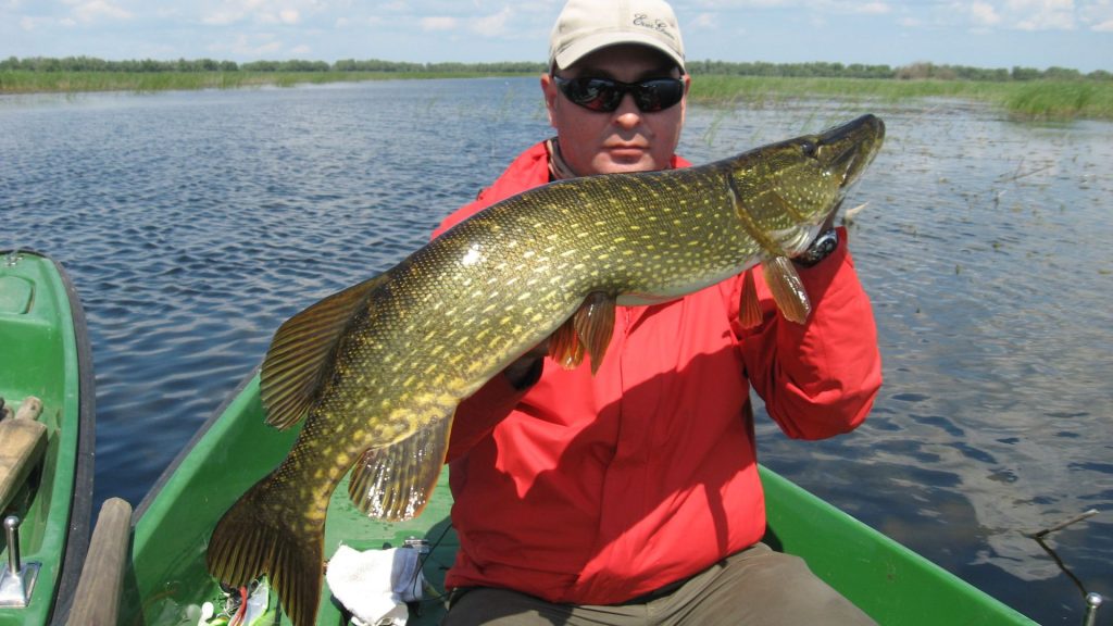 delta-force-swimbait-ops_6