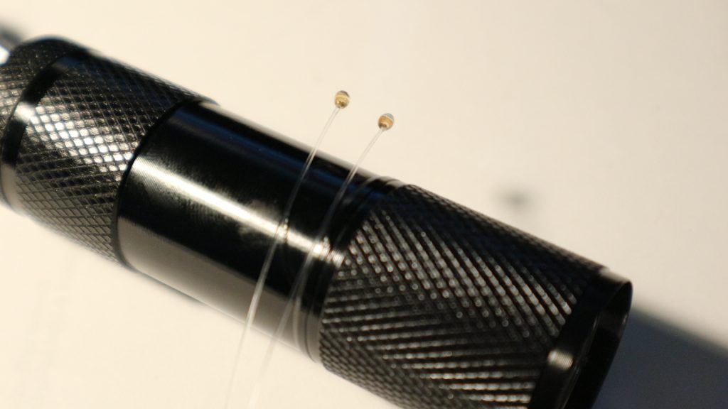 the-shrimps-have-eyes_1