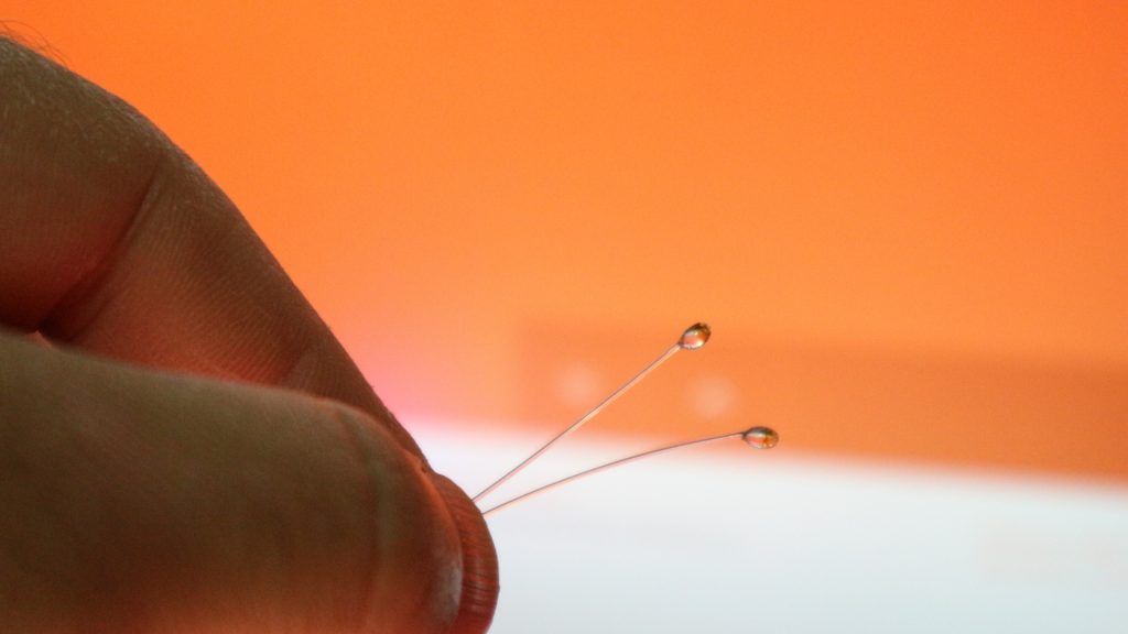 the-shrimps-have-eyes_4