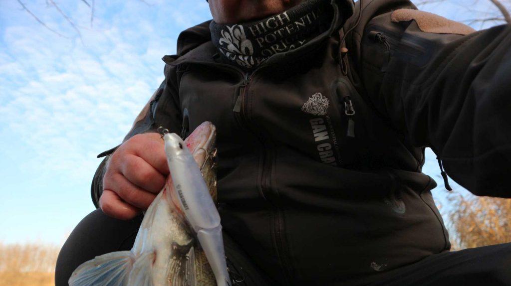 Știuci la zero grade