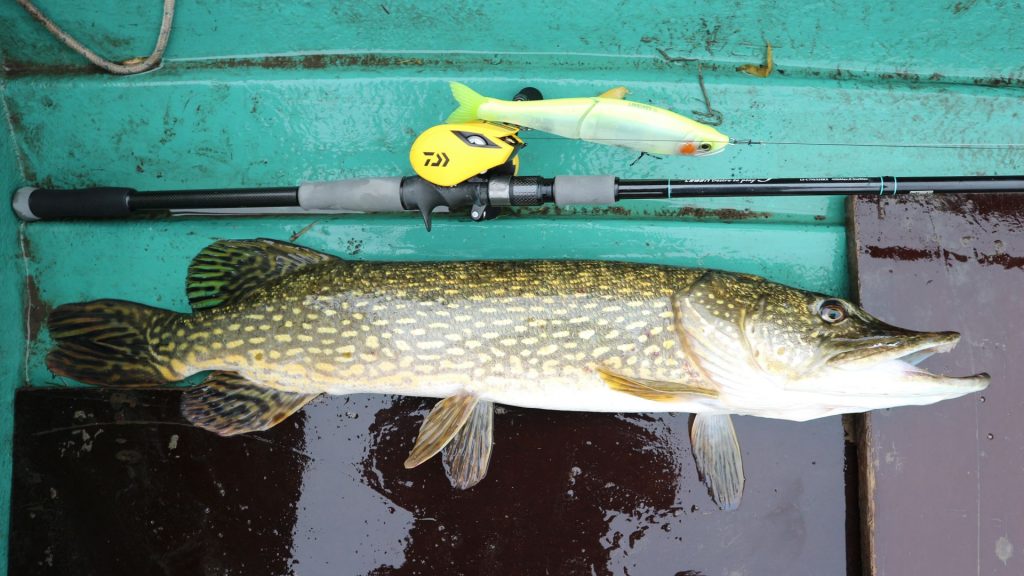 Lanseta de big baits perfectă